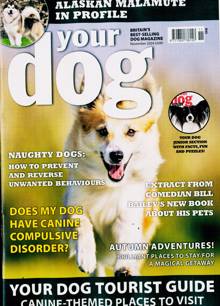 Your Dog Magazine  Order Online