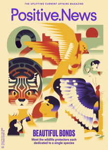 Positive News Magazine  Order Online