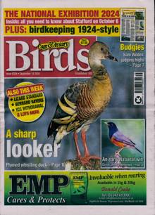 Cage And Aviary Birds Magazine  Order Online