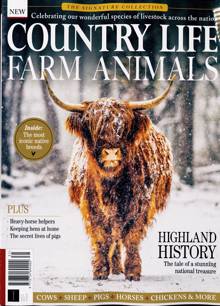 Signature Collection Magazine  Order Online