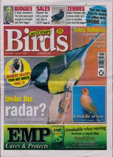 Cage And Aviary Birds Magazine  Order Online
