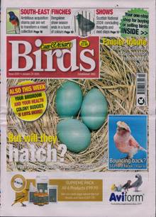 Cage And Aviary Birds Magazine  Order Online