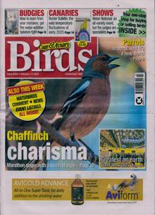 Cage And Aviary Birds Magazine  Order Online