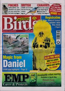 Cage And Aviary Birds Magazine  Order Online