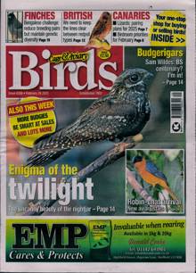Cage And Aviary Birds Magazine  Order Online