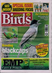 Cage And Aviary Birds Magazine  Order Online