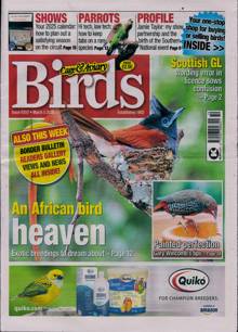 Cage And Aviary Birds Magazine  Order Online