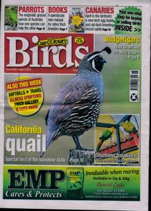 Cage And Aviary Birds Magazine  Order Online