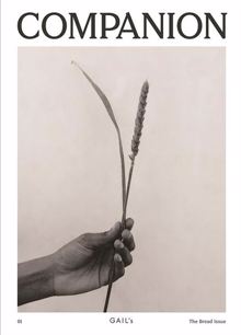 Companion Magazine Issue 01 Order Online