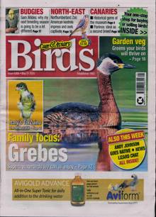 Cage And Aviary Birds Magazine  Order Online