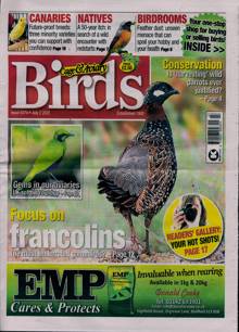 Cage And Aviary Birds Magazine 02/07/2025 Order Online