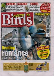 Cage And Aviary Birds Magazine 09/07/2025 Order Online