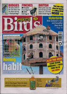 Cage And Aviary Birds Magazine  Order Online