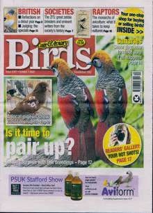 Cage And Aviary Birds Magazine  Order Online