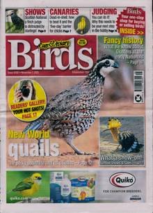 Cage And Aviary Birds Magazine  Order Online