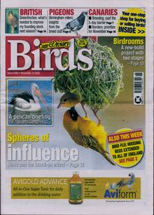 Cage And Aviary Birds Magazine  Order Online
