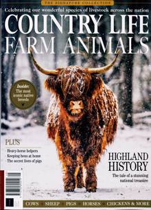 Signature Collection Magazine Issue NO 45