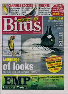 Cage And Aviary Birds Magazine 10/12/2025 Order Online