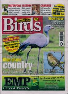 Cage And Aviary Birds Magazine  Order Online