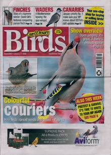 Cage And Aviary Birds Magazine 21/01/2026 Order Online