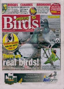Cage And Aviary Birds Magazine 07/01/2026 Order Online