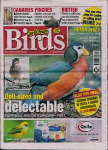 Cage And Aviary Birds Magazine 18/02/2026 Order Online