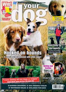 Your Dog Magazine  Order Online