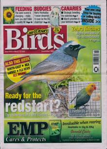 Cage And Aviary Birds Magazine  Order Online