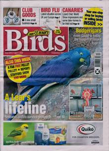 Cage And Aviary Birds Magazine Issue 01/04/2026