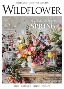 Wildflower Magazine  Order Online
