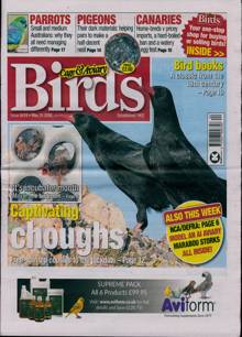 Cage And Aviary Birds Magazine  Order Online