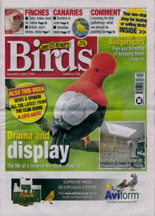 Cage And Aviary Birds Magazine Issue 17/06/2026