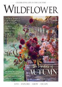 Wildflower Magazine  Order Online