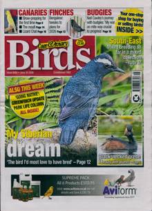 Cage And Aviary Birds Magazine  Order Online
