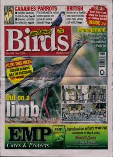 Cage and Aviary Birds Magazine  Order Online