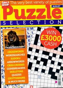 Take a Break Puzzle Selection Magazine Issue NO 9