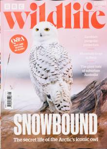 BBC Wildlife Magazine  Order Online