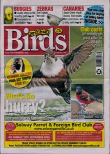 Cage and Aviary Birds Magazine  Order Online