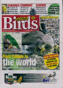 Cage and Aviary Birds Magazine Issue 21/10/2026 