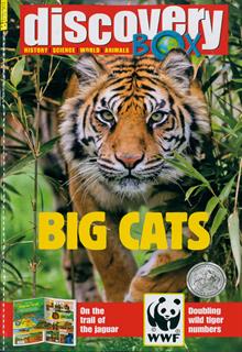 Discovery Box Magazine Issue  