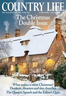 Country Life Magazine Subscription | Buy at Newsstand.co.uk | Countryside