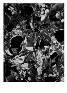 The White Review Magazine Issue  