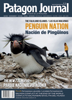 Patagon Journal Magazine Issue  