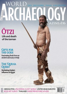 Current World Archaeology Magazine Issue