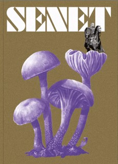 Senet Magazine Issue  