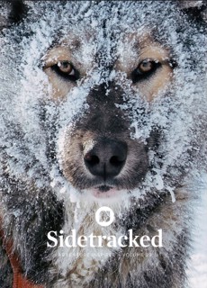 Sidetracked Magazine Issue  