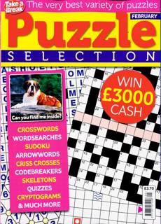 Take A Break Puzzle Selection Magazine Issue NO 1