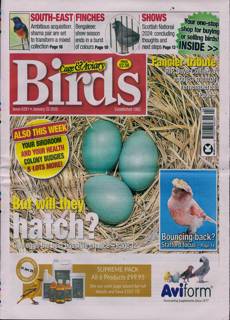 Cage And Aviary Birds Magazine Issue 22/01/2025