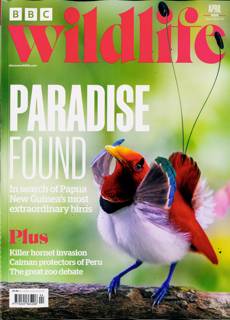 Bbc Wildlife Magazine Issue APR 25