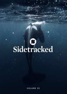 Sidetracked Magazine Issue Vol 33